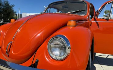 Vw-bus-and-beetle-1971-orange-21