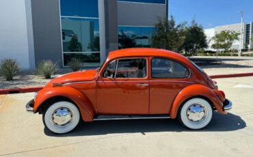 Vw-bus-and-beetle-1971-orange-7