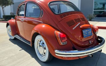 Vw-bus-and-beetle-1971-orange-8