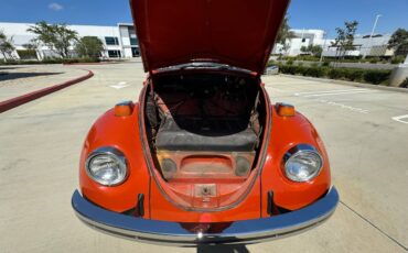 Vw-bus-and-beetle-1971-orange-9