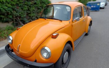 Vw-super-beetle-1973