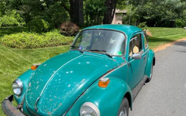 Vw-super-beetle-1974-green-9