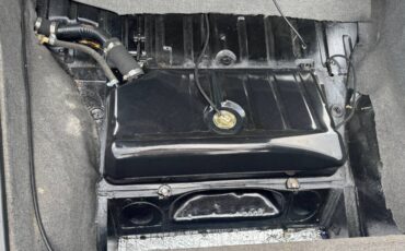 Vw-thing-pro-touring-1974-green-8