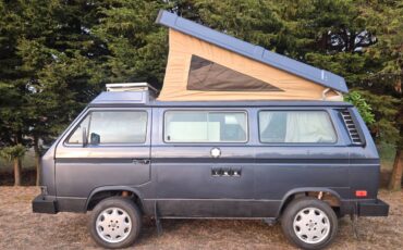 Vw-vanagon-camper-1980-grey-19