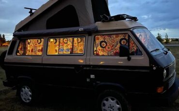 Vw-westfalia-1984-brown-7
