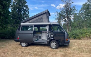 Vw-westfalia-camper-van-1989-grey