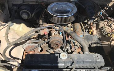 W350-se-royal-power-ram-1983-15