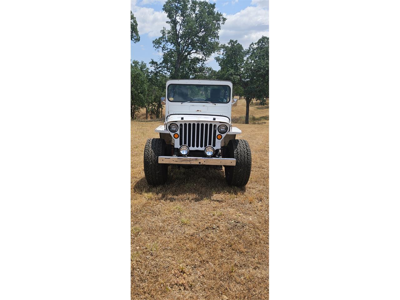 Willys-1943-White-Gray-1