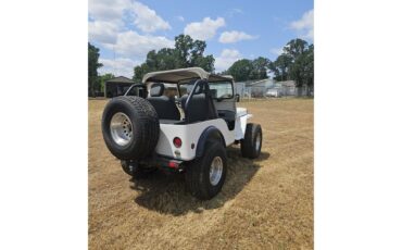 Willys-1943-White-Gray-3