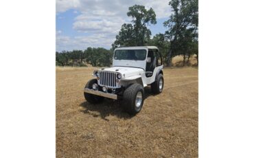 Willys-1943-White-Gray