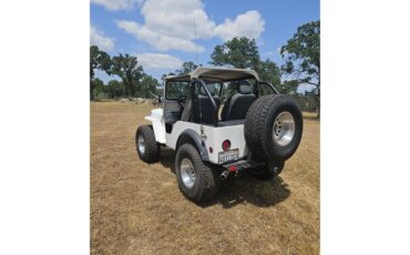 Willys-1943-White-Gray-4