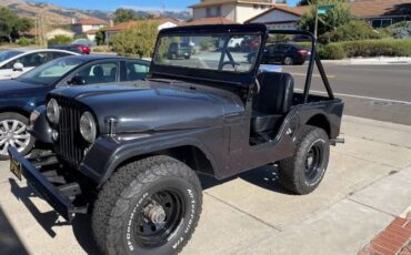 Willys-1955-Gray