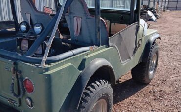 Willys-1969-green-3