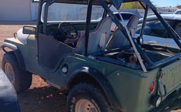 Willys-1969-green-4