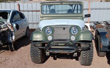 Willys-1969-green-6