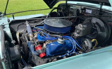 Willys-Pickup-1963-Light-Green-BlackGreen-wood-10