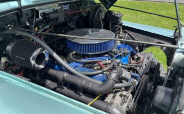 Willys-Pickup-1963-Light-Green-BlackGreen-wood-12