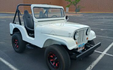 Willys-jeep-1959-white-2