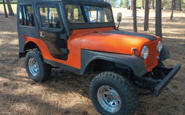 Willys-jeep-1960-custom-1