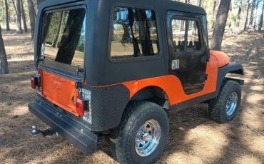 Willys-jeep-1960-custom-2