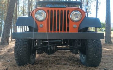 Willys-jeep-1960-custom-4