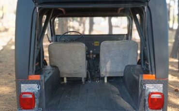 Willys-jeep-1960-custom-5