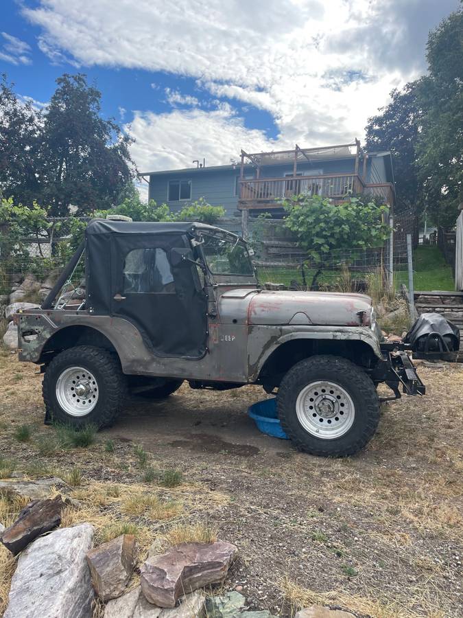 Willys-jeep-cj5-1959-3