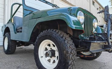 Willys-jeep-cj5-1961-16