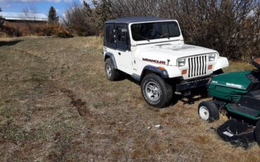 Wrangler-1987-white-2