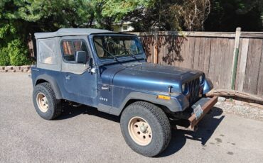 Wrangler-sport-1993-blue