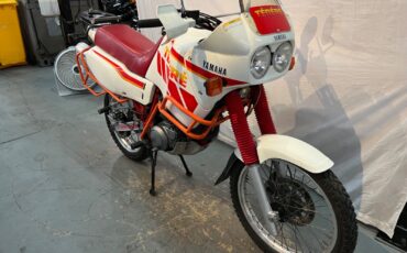 Yamaha-Other-1989-6