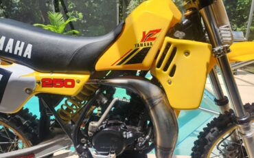 Yamaha-YZ-1984-2