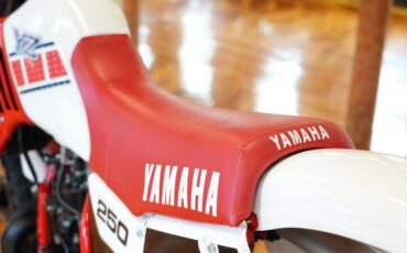 Yamaha-YZ-1985-35