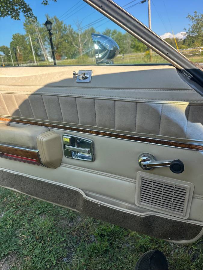 1979-brown-6
