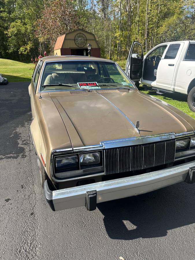 1979-brown