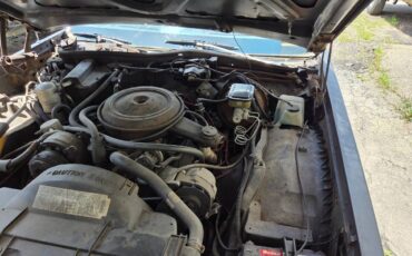 1984-1994-blue-4