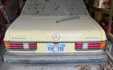 240d-diesel-1978-yellow-6