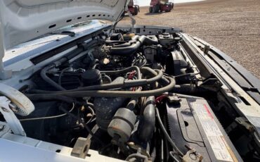 250-xlt-1995-white-8