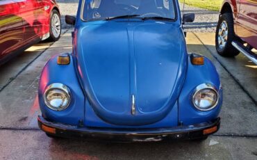 71-super-beetle-1971-10