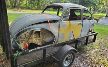 71-super-beetle-1971-8