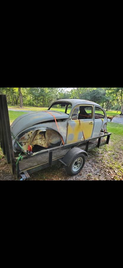71-super-beetle-1971-8