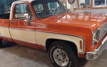 76-c-20-1976-orange-1