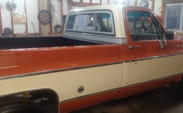 76-c-20-1976-orange