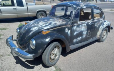 76 vw beetle 1976
