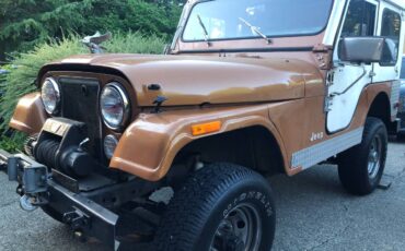78-cj-5-1978-custom-6