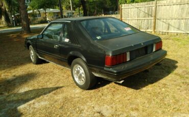 79-ford-mustang-cobra-1979