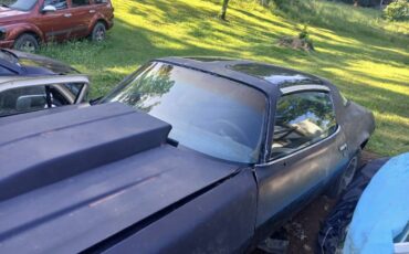 81-camaro-1981-black-3