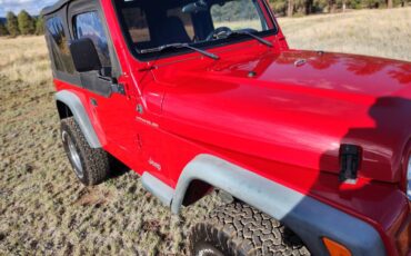 94-jeep-wrangler-1994-10