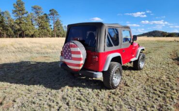 94-jeep-wrangler-1994-11