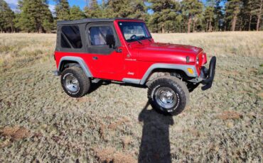 94-jeep-wrangler-1994-12